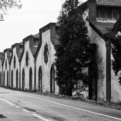 Canon EOS 5D Mark II | f/5 | 1/500sec | ISO-320 | 70mm | 2012-03-18 11:50:57 | Copyright: GFREE-PHOTO