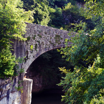 Canon EOS 5D Mark II | f/6.3 | 1/50sec | ISO-320 | 46mm | 2011-07-24 17:23:33 | Copyright: GFREE-PHOTO