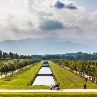 Canon EOS 5D Mark II | f/2.8 | 1/3200sec | ISO-160 | 70mm | 2013-07-14 16:37:12 | Copyright: GFREE-PHOTO