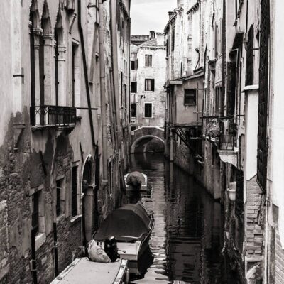 | | | | | | Copyright: GFREE-PHOTO