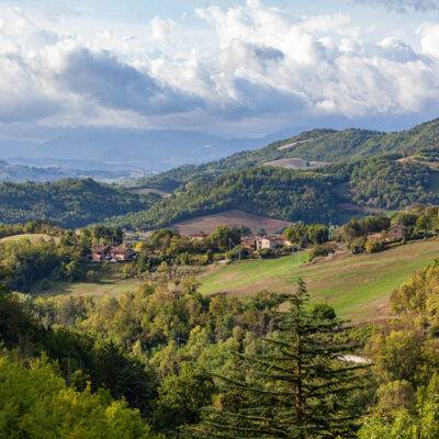 Marche Urbino