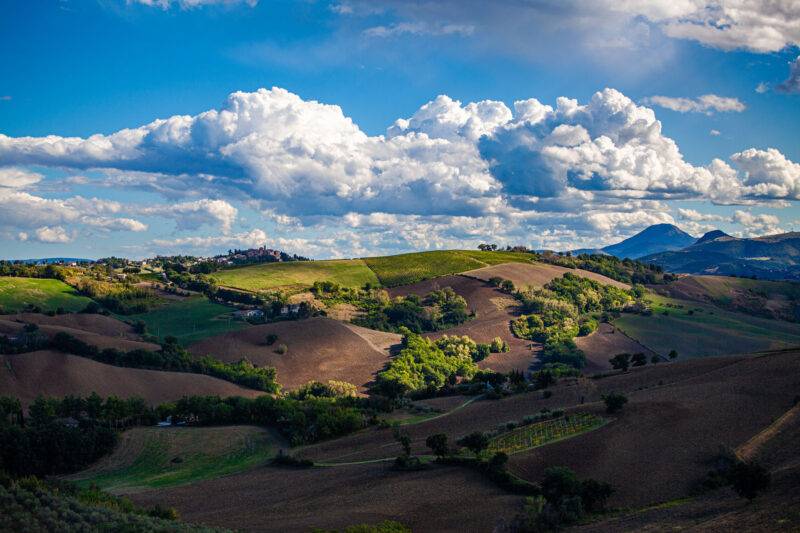 Marche Piticchio