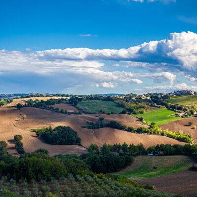 Marche Piticchio
