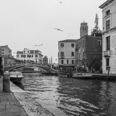 | | | | | | Copyright: GFREE-PHOTO