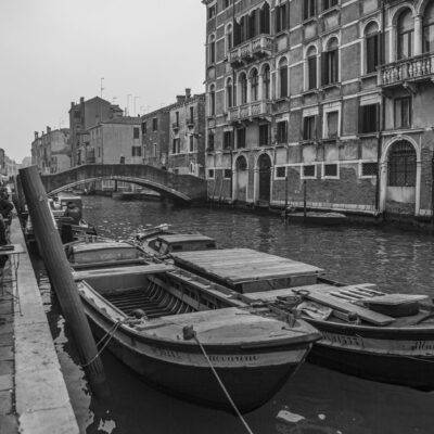 | | | | | | Copyright: GFREE-PHOTO