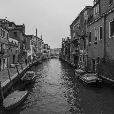 | | | | | | Copyright: GFREE-PHOTO