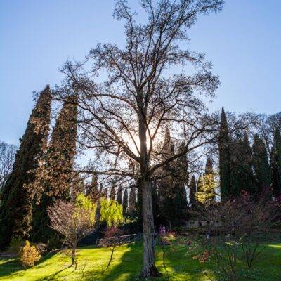 Parco Sigurtà