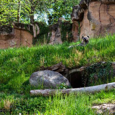 Parco Natura Viva