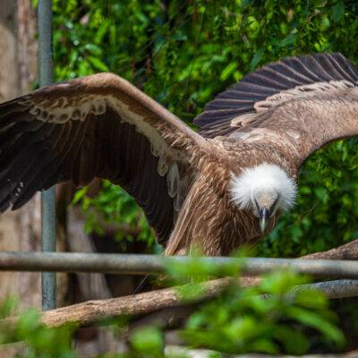 | | | | | | Copyright: GFREE-PHOTO