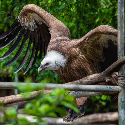 | | | | | | Copyright: GFREE-PHOTO