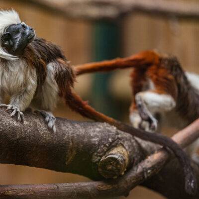 | | | | | | Copyright: GFREE-PHOTO