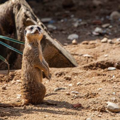 | | | | | | Copyright: GFREE-PHOTO