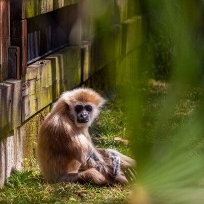 | | | | | | Copyright: GFREE-PHOTO