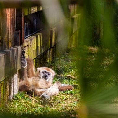 | | | | | | Copyright: GFREE-PHOTO