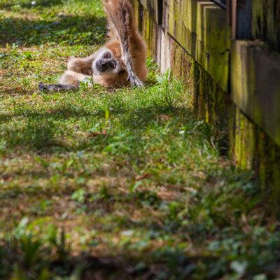 | | | | | | Copyright: GFREE-PHOTO