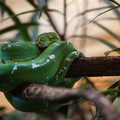 | | | | | | Copyright: GFREE-PHOTO