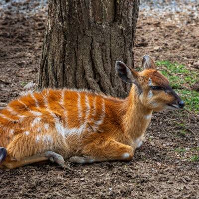 | | | | | | Copyright: GFREE-PHOTO