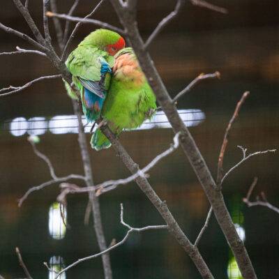 | | | | | | Copyright: GFREE-PHOTO