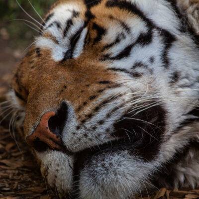| | | | | | Copyright: GFREE-PHOTO