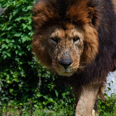 | | | | | | Copyright: GFREE-PHOTO