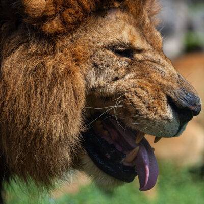 | | | | | | Copyright: GFREE-PHOTO