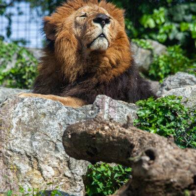 | | | | | | Copyright: GFREE-PHOTO