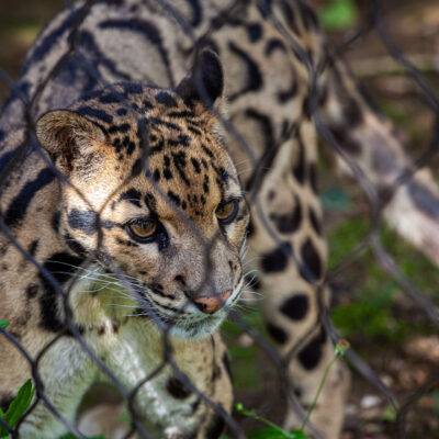 | | | | | | Copyright: GFREE-PHOTO