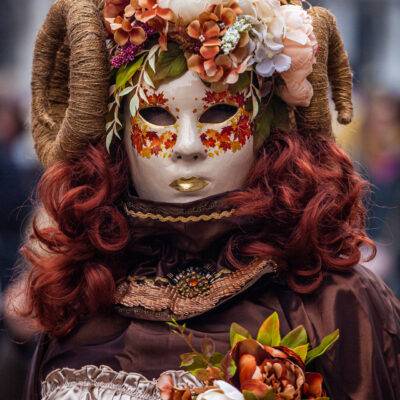 Copyright: GFREE-PHOTO