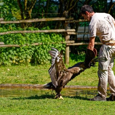 Canon EOS 7D Mark II | f/5.6 | 1/1000sec | ISO-200 | 200mm | 2024-05-11 15:53:39 | Copyright: GFREE-PHOTO