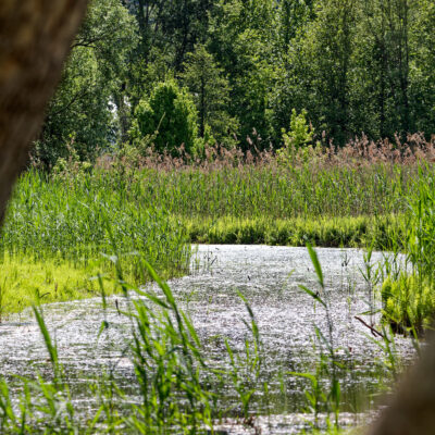 Canon EOS 5D Mark II | f/6.3 | 1/2500sec | ISO-640 | 160mm | 2024-05-05 09:40:29 | Copyright: GFREE-PHOTO