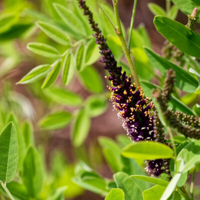 Canon EOS 5D Mark II | f/6.3 | 1/1000sec | ISO-640 | 200mm | 2024-05-05 09:58:54 | Copyright: GFREE-PHOTO